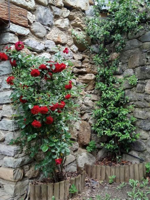 La Borda De Sesue Villa Exteriör bild